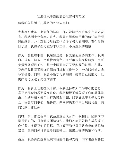 欢迎挂职干部的表态发言材料范文