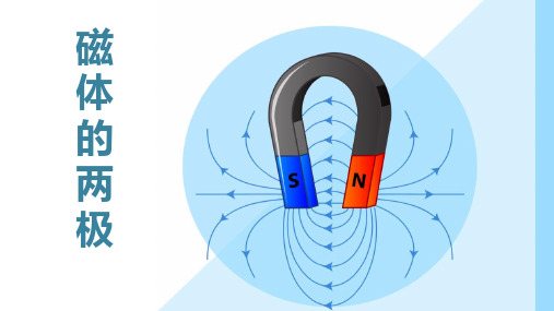 《磁铁的两极》PPT优质课件