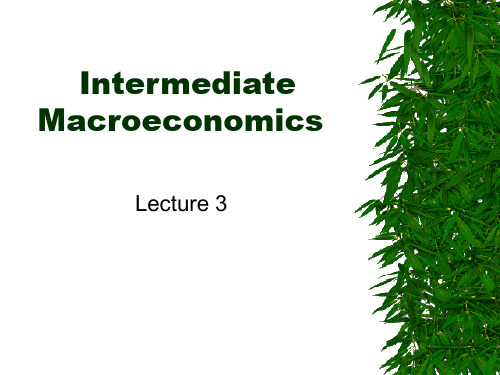 中级宏观经济学(英文版第3章)Intermediate Macroeconomics