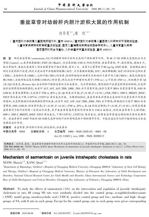 垂盆草苷对幼龄肝内胆汁淤积大鼠的作用机制