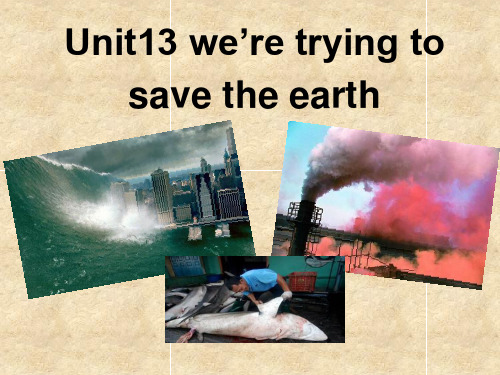 人教版九年级英语Unit13_we’re_trying_to_save_the_earth