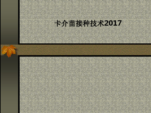 卡介苗接种技术2017