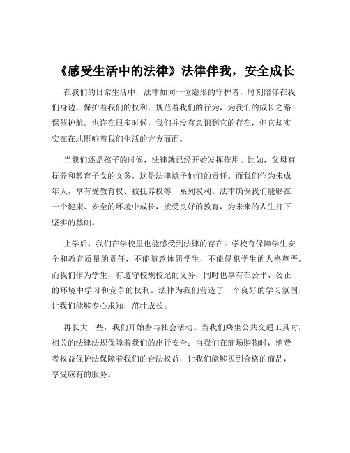 《感受生活中的法律》法律伴我,安全成长