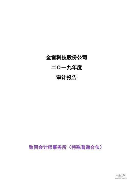 金雷股份：2019年年度审计报告