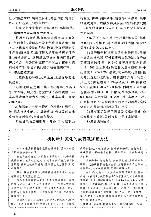 桃树叶片黄化的成因及矫正方法