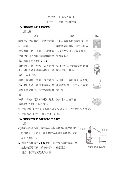 冀少版八年级生物上册第三章叶的光合作用知识点学案