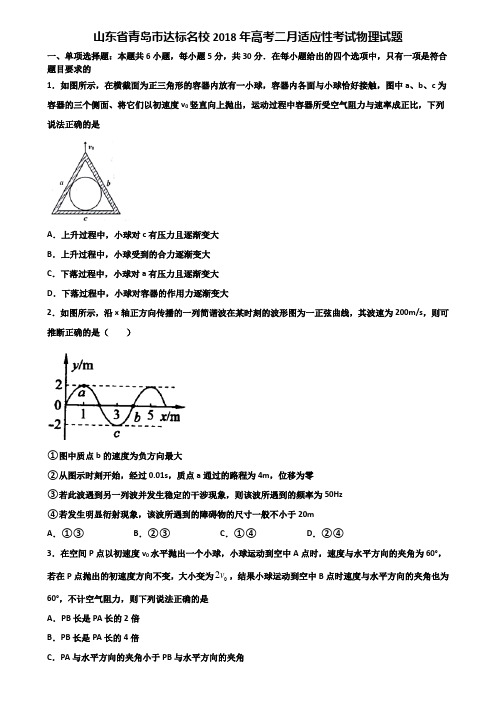 山东省青岛市达标名校2018年高考二月适应性考试物理试题含解析