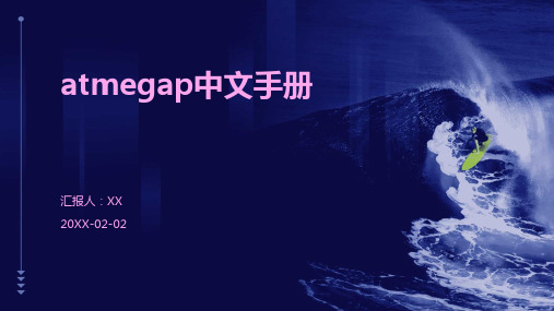 atmegap中文手册