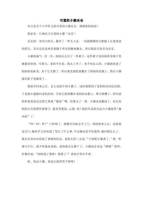 可爱的小猫乐乐_小学作文