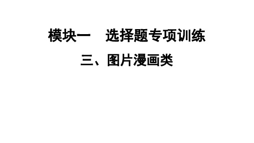 2021年广东省深圳市二轮复习 模块一 选择题专项训练 3、图片漫画类   习题课件