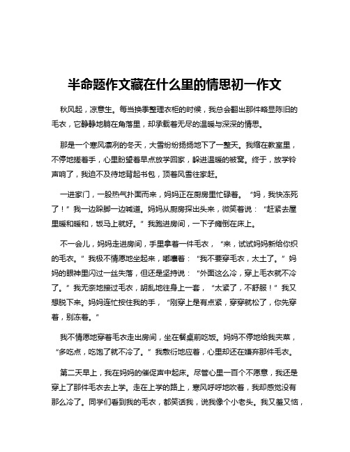 半命题作文藏在什么里的情思初一作文