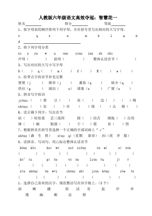 2017人教版六年级语文高效夺冠之智慧花