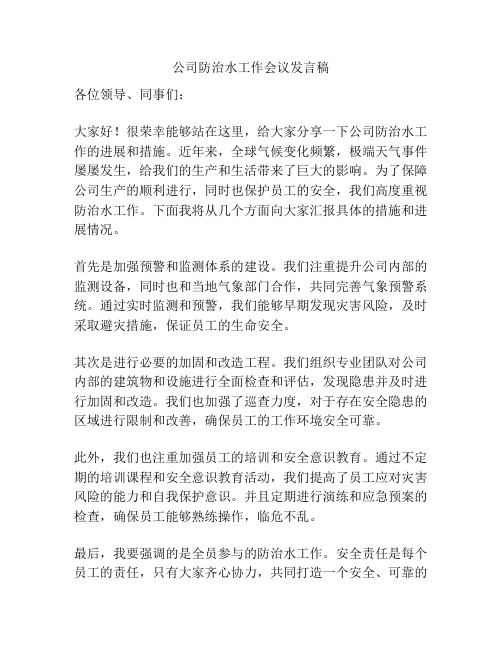 公司防治水工作会议发言稿