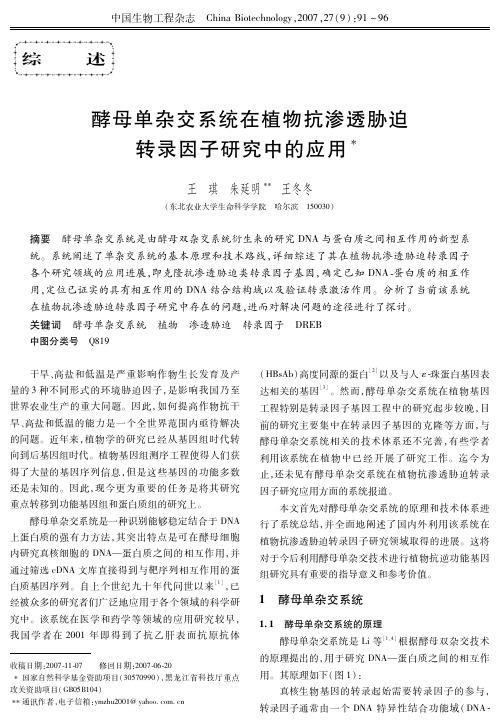 酵母单杂交系统在植物抗渗透胁迫转录因子研究中的应用