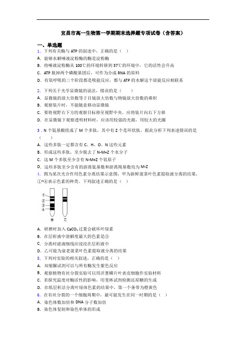 宜昌市高一生物第一学期期末选择题专项试卷(含答案)