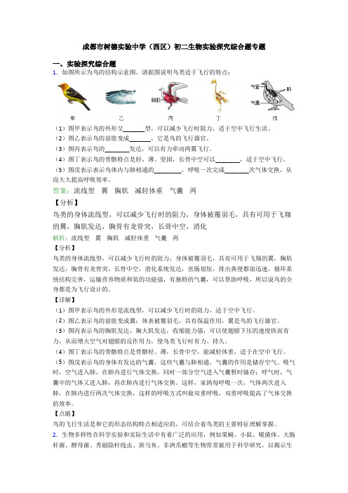 成都市树德实验中学(西区)初二生物实验探究综合题专题