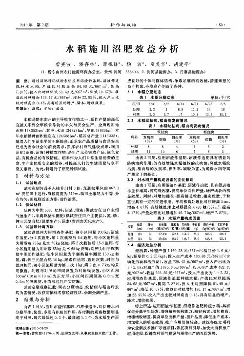 水稻施用沼肥效益分析