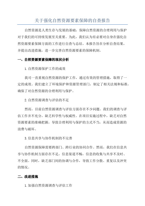 关于强化自然资源要素保障的自查报告