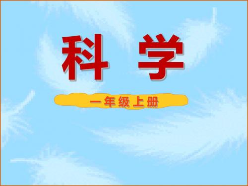 一年级上册科学课件-7蔬菜长在哪里 粤教版 