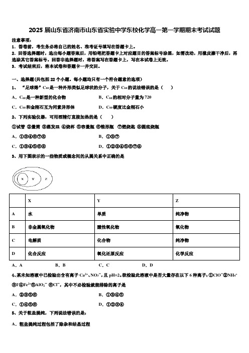 2025届山东省济南市山东省实验中学东校化学高一第一学期期末考试试题含解析