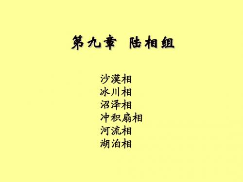 17-冲积扇相n