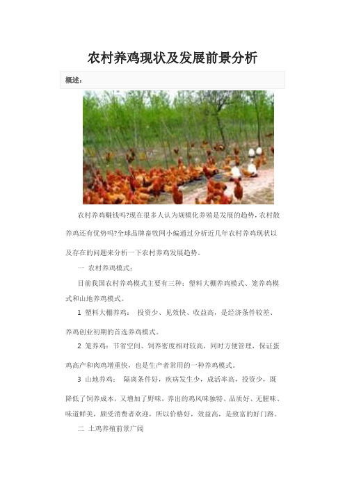 农村养鸡现状及发展前景分析