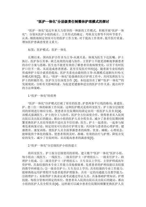 “医护一体化”分层级责任制整体护理模式的探讨