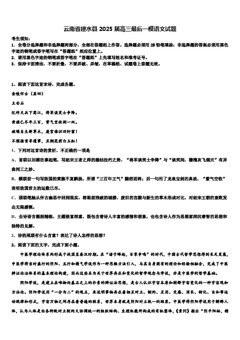 云南省建水县2025届高三最后一模语文试题含解析