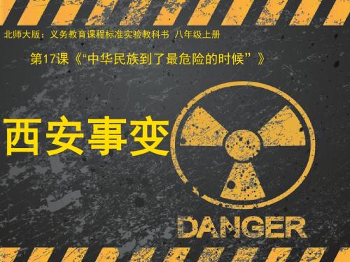 “中华民族到了最危险的时候”ppt12 北师大版