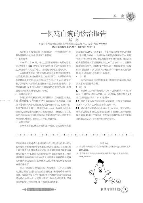 一例鸡白痢的诊治报告