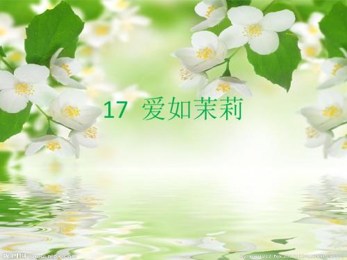 17 爱如茉莉第一课时PPT