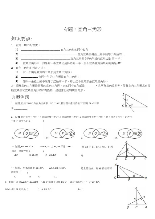 专题：直角三角形培优