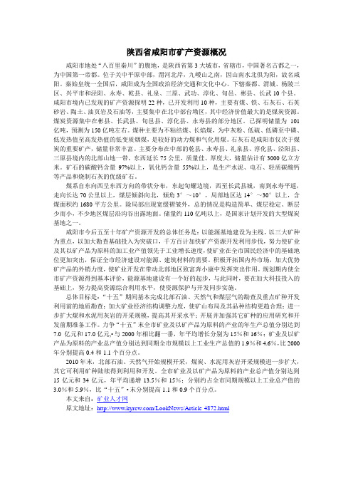 陕西省咸阳市矿产资源概况