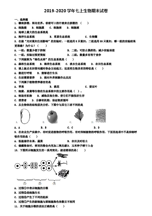 (4份试卷汇总)2019-2020学年上海市生物七年级(上)期末检测模拟试题