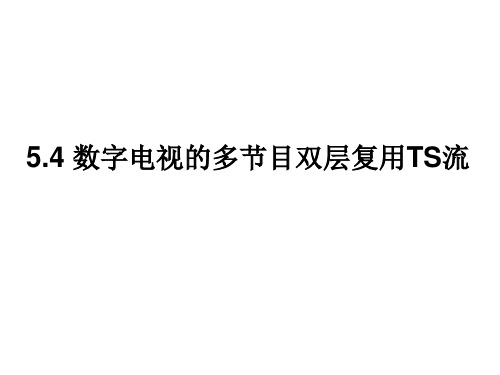 5.5数字电视TS流中的PSI和SI信息