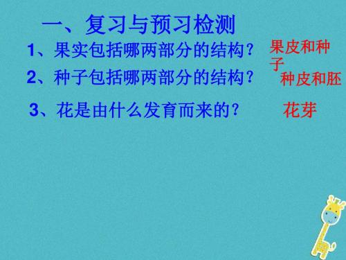 七年级生物上册3.2.3开花和结果课件(新版)新人教版 (1)