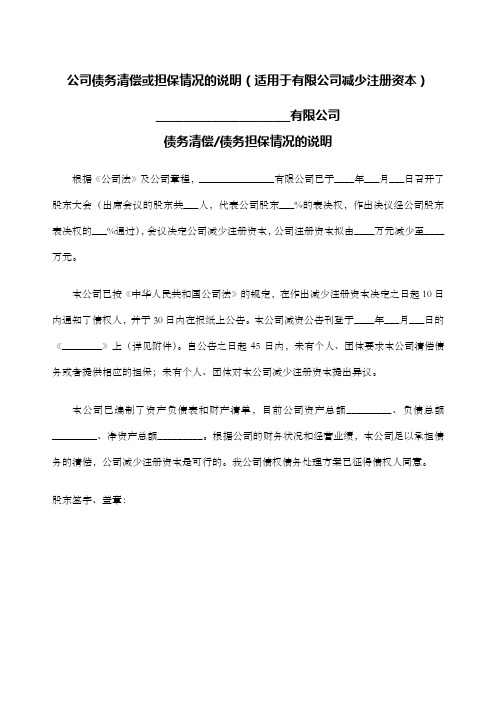 公司债务清偿或担保情况的说明