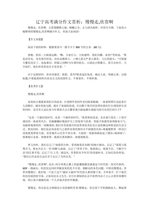 辽宁高考满分作文赏析：慢慢走,欣赏啊