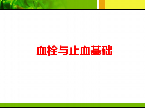 血栓与止血基础第一节