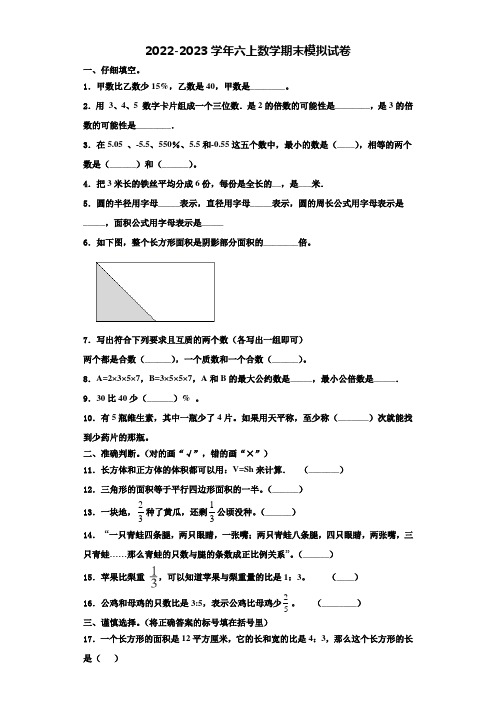 黑龙江省齐齐哈尔市2022-2023学年六年级数学第一学期期末经典模拟试题含解析