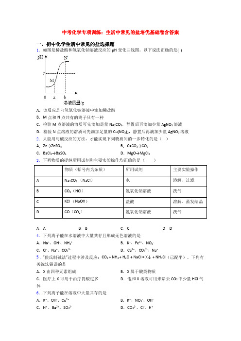 中考化学专项训练：生活中常见的盐培优基础卷含答案