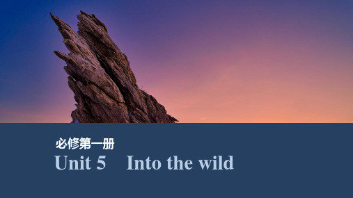 2025届高中 ：外研版()必修第一册Unit 5 Into the wild(共51张ppt)