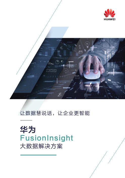 FusionInsight大数据解决方案白皮书