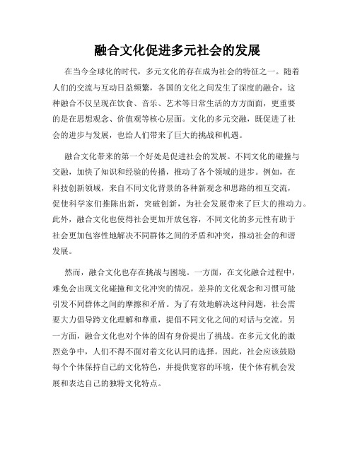 融合文化促进多元社会的发展