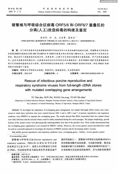 猪繁殖与呼吸综合征病毒ORF5／6和ORF6／7重叠区的分离(人工)改造病毒的构建及鉴定