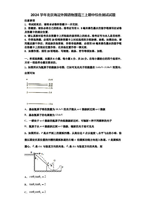 2024学年北京海淀外国语物理高三上期中综合测试试题含解析