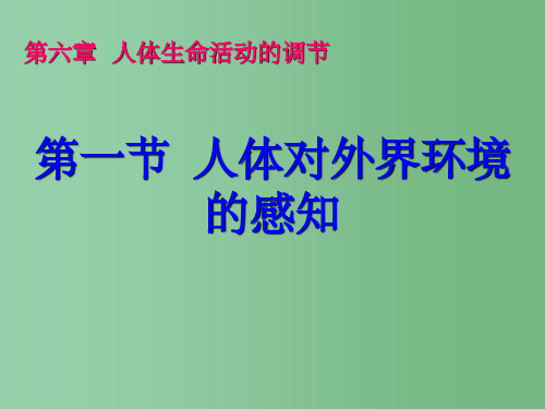 七年级生物《6.1 人体对外界环境的感知》课件 人教新课标版