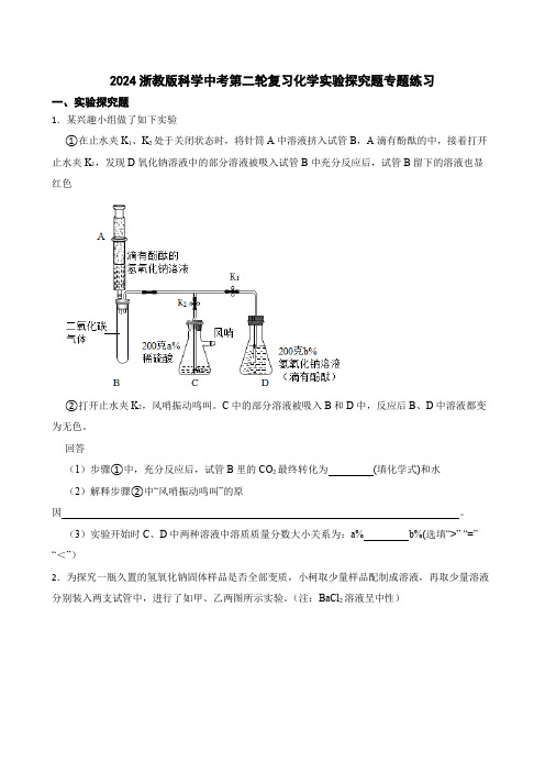 2024年浙江省科学中考第二轮复习化学实验探究题专题练习