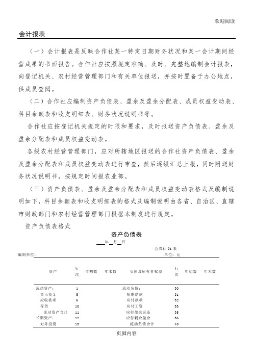 农民专业合作社财务会计报表格模板