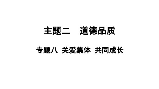 中考道德与法治总复习 课件  专题八 关爱集体 共同成长